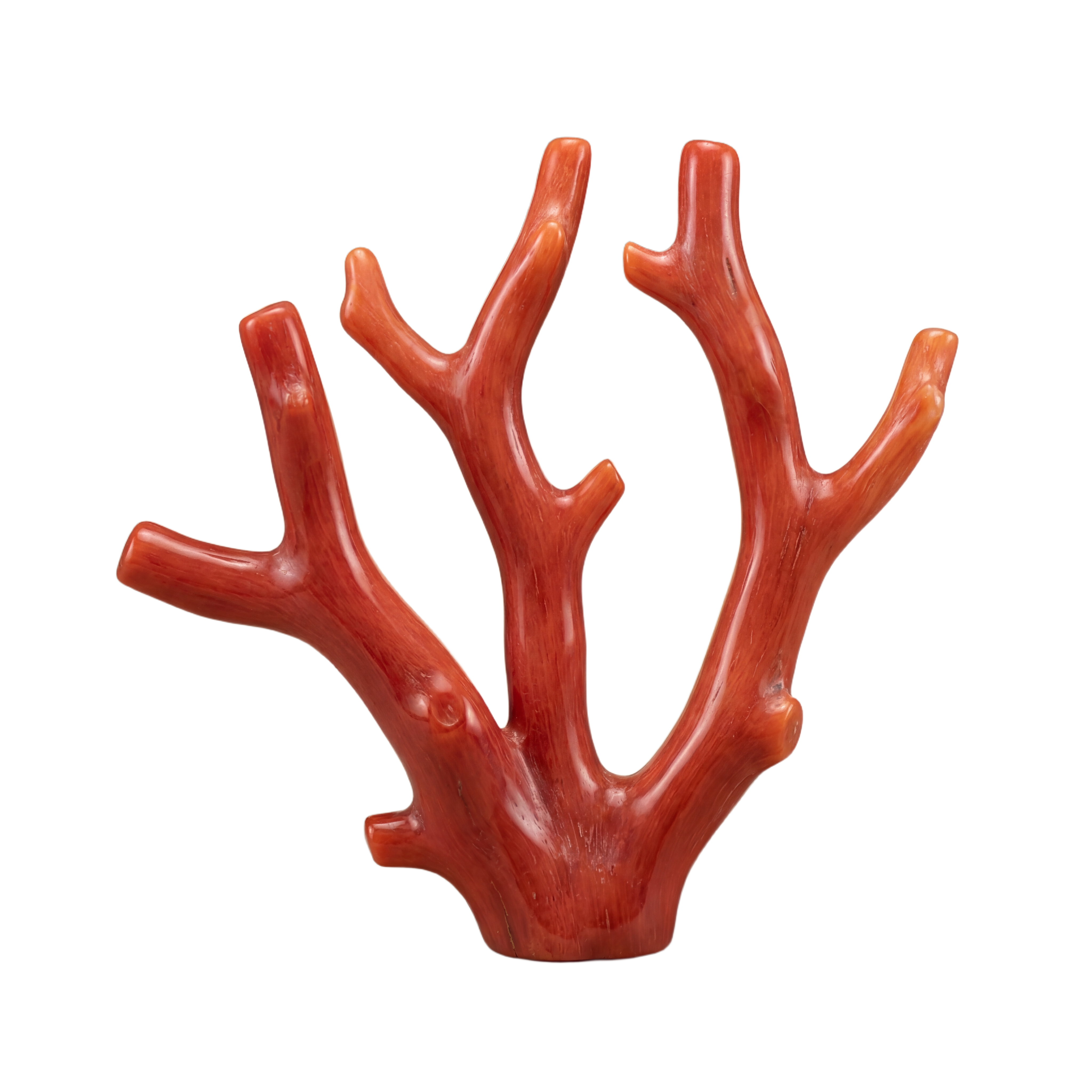 Red Coral