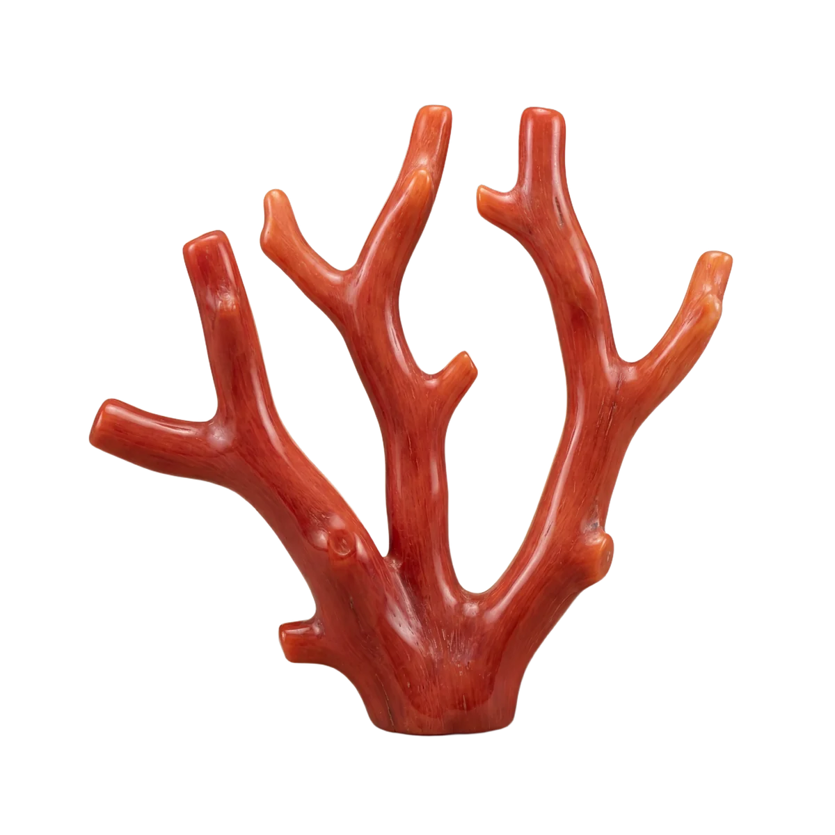 Red Coral