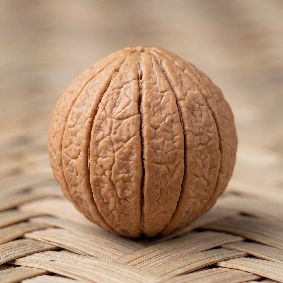 15 Mukhi Rudraksha